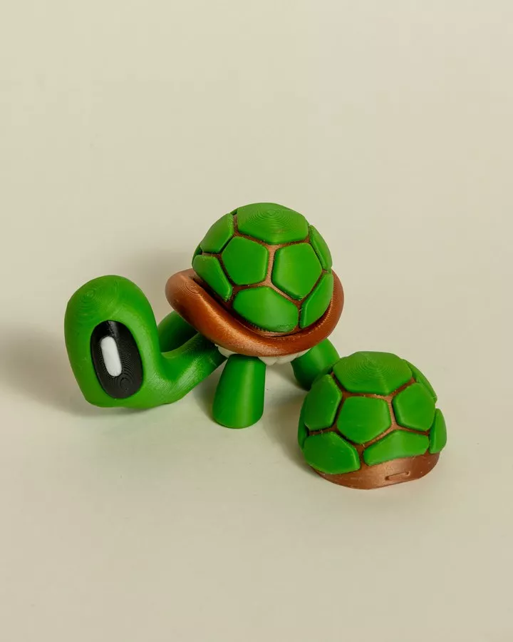Product image - Tortuga articulada