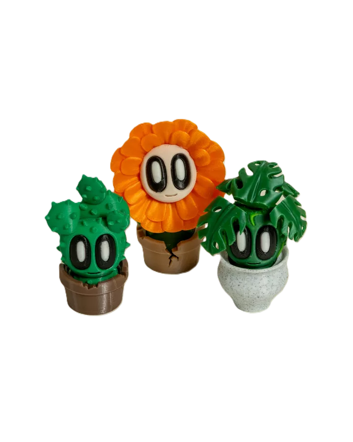 Product image - Plantas Decorativas